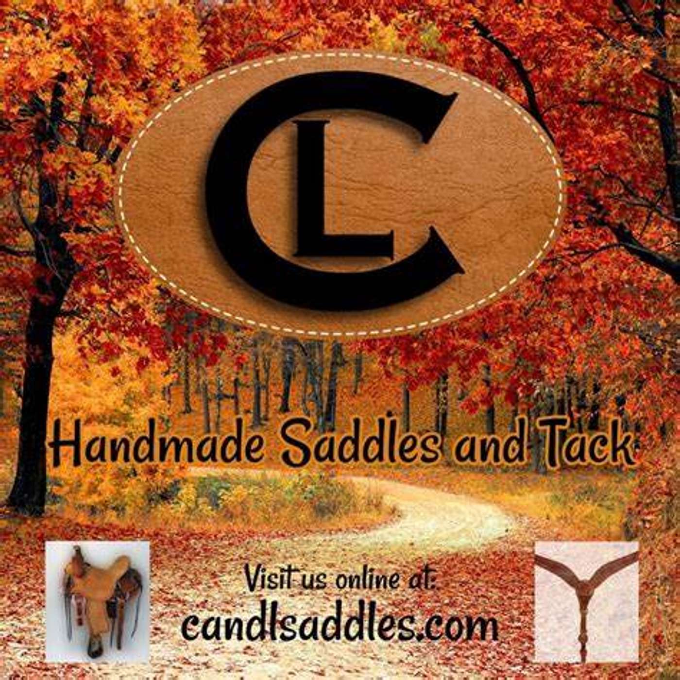 Mule Talk! Guest Ryan Liggett of C&L Saddlery talks about saddle issues.