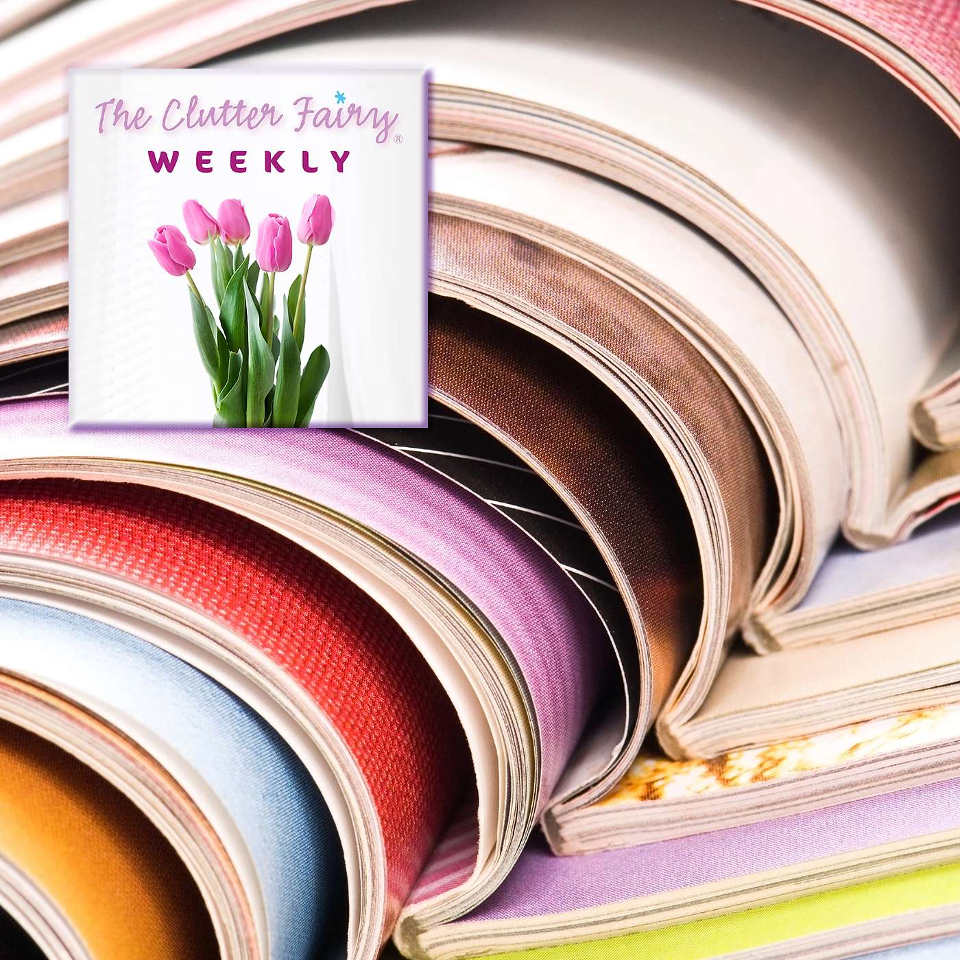 The Persistent Problem of Paper—Part II: Corralling the Influx - The Clutter Fairy Weekly #316