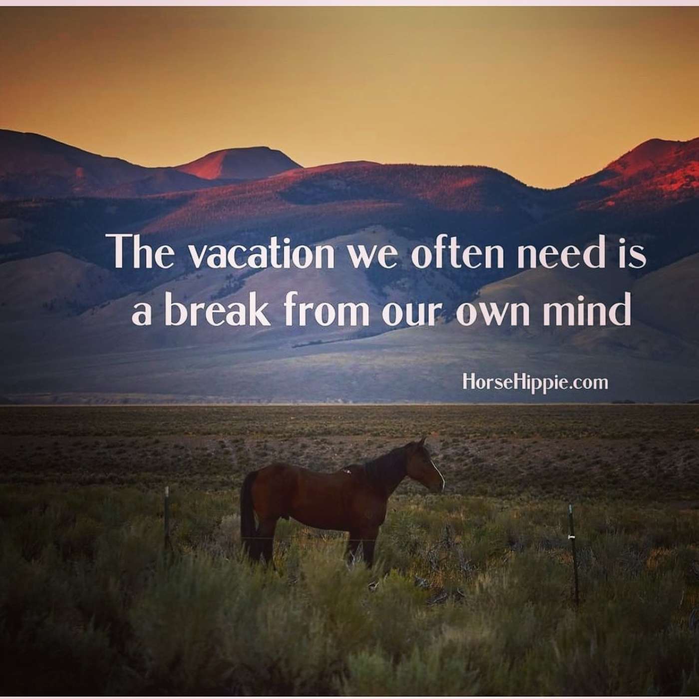 Take A Mind Vacation