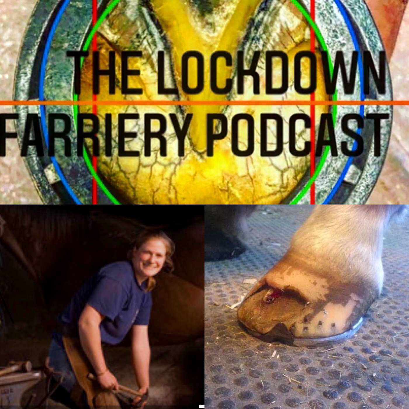 The Lockdown Farriery  Podcast