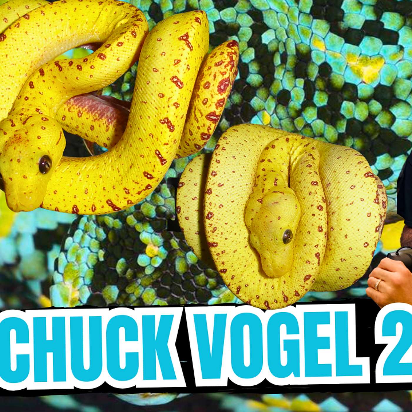 Running It Back With Chuck Vogel | All In The Tree Tuesday Live