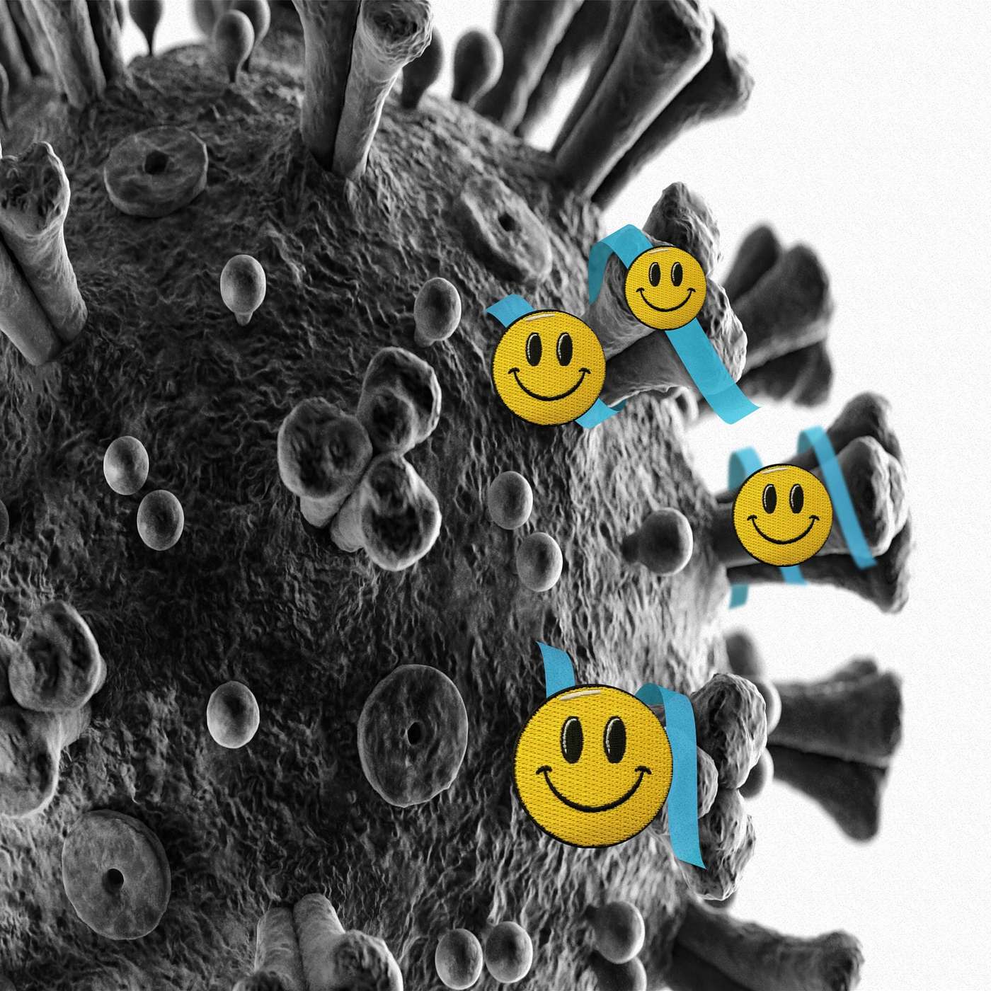 Survival of the fitest  [Series 1: Episode 1]