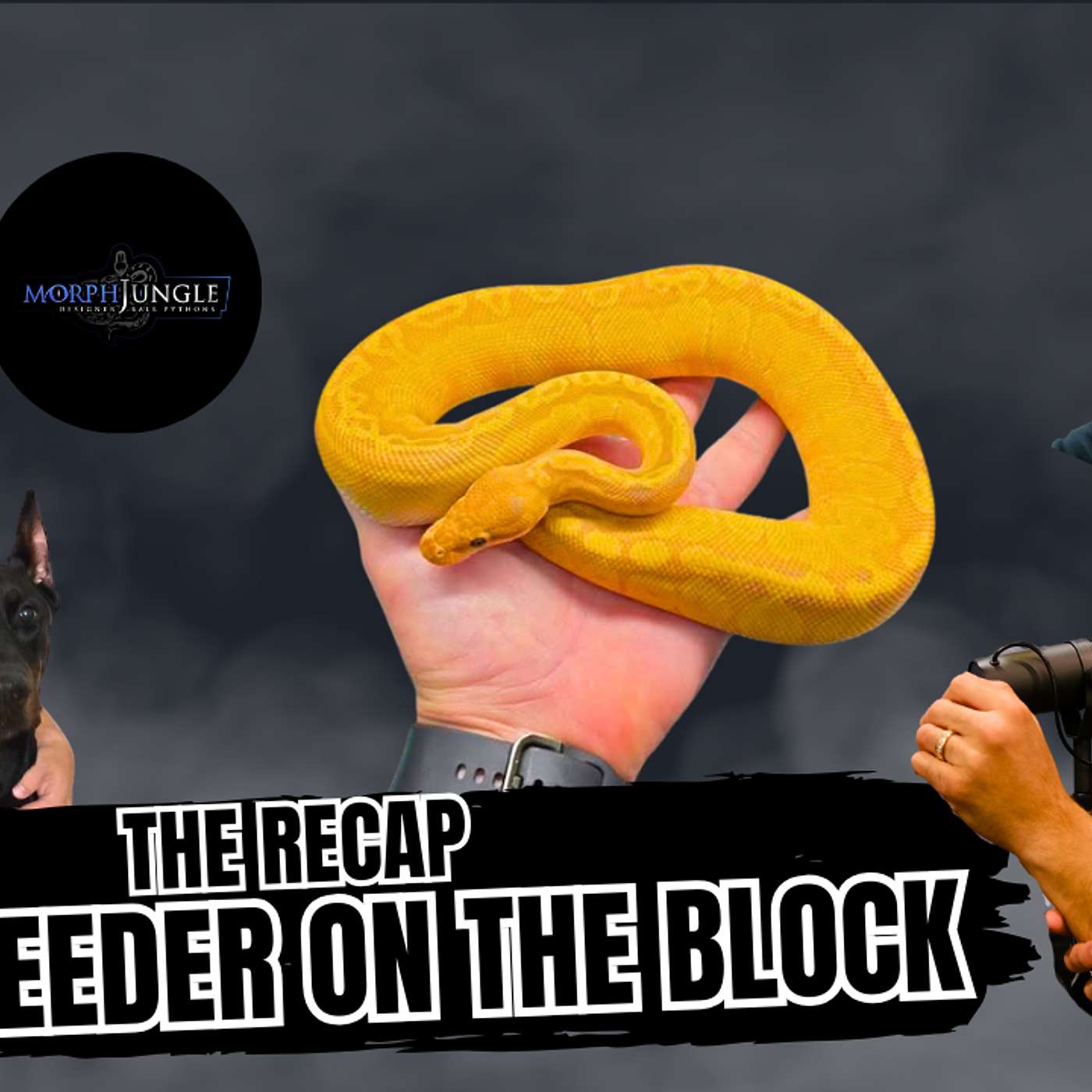 Ultramel & Sunset Taking Names | New Breeder On The Block Live