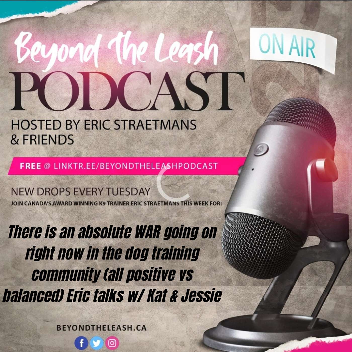 Ep 103: There is an absolute WAR going on right now in the dog training community (all positive vs balanced)  Eric talks with Kat & Jessie