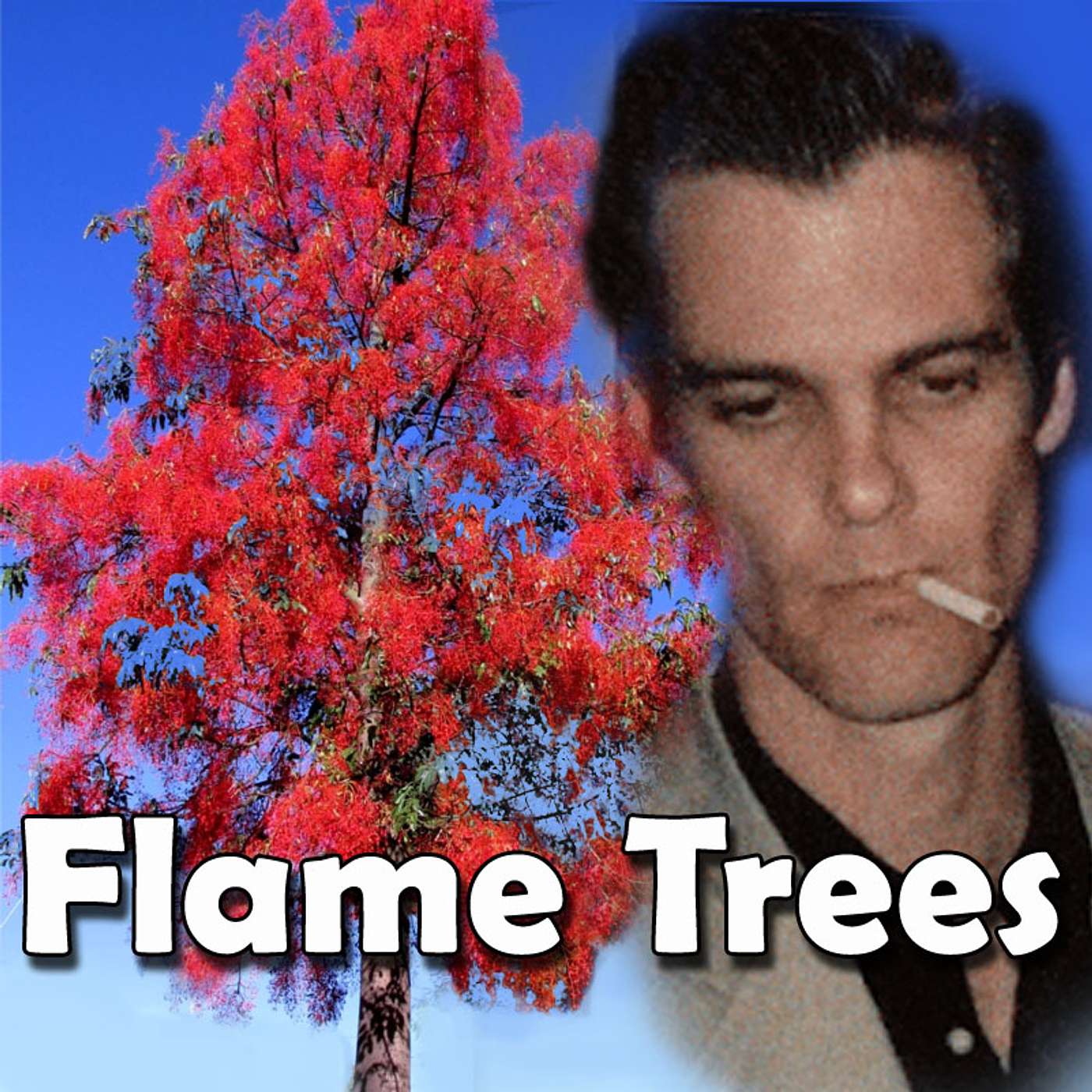 De-mystifying the song Flame Trees Pt 2 - History De-mystified Podcast 20-04