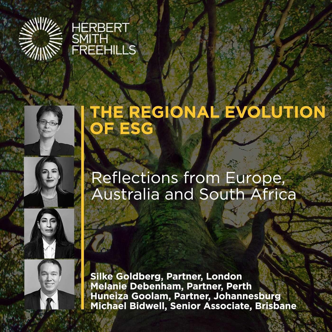 The regional evolution of ESG: Reflections from Europe, Australia and South Africa episode artwork