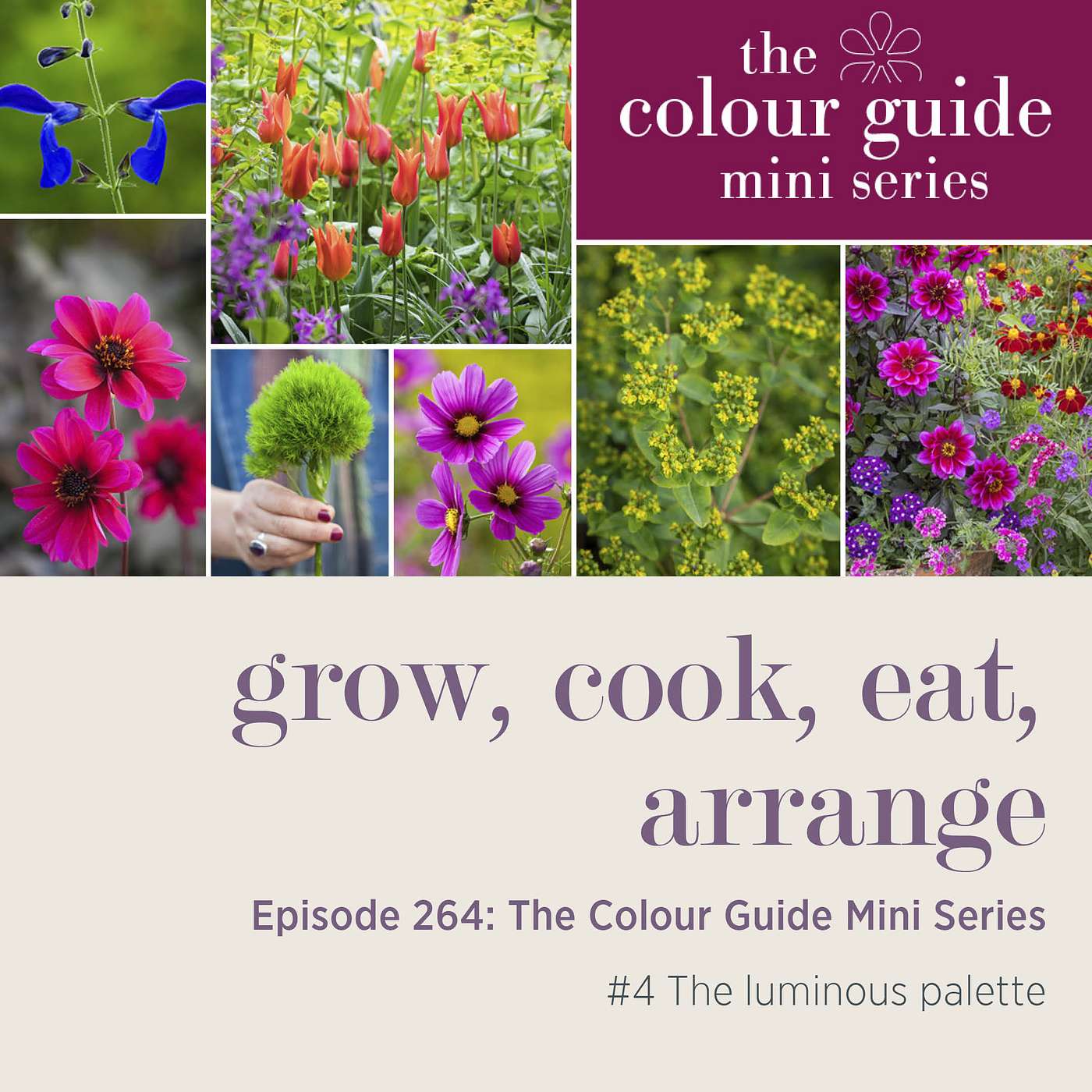 The Colour Guide Mini Series #4: The luminous palette - Episode 264
