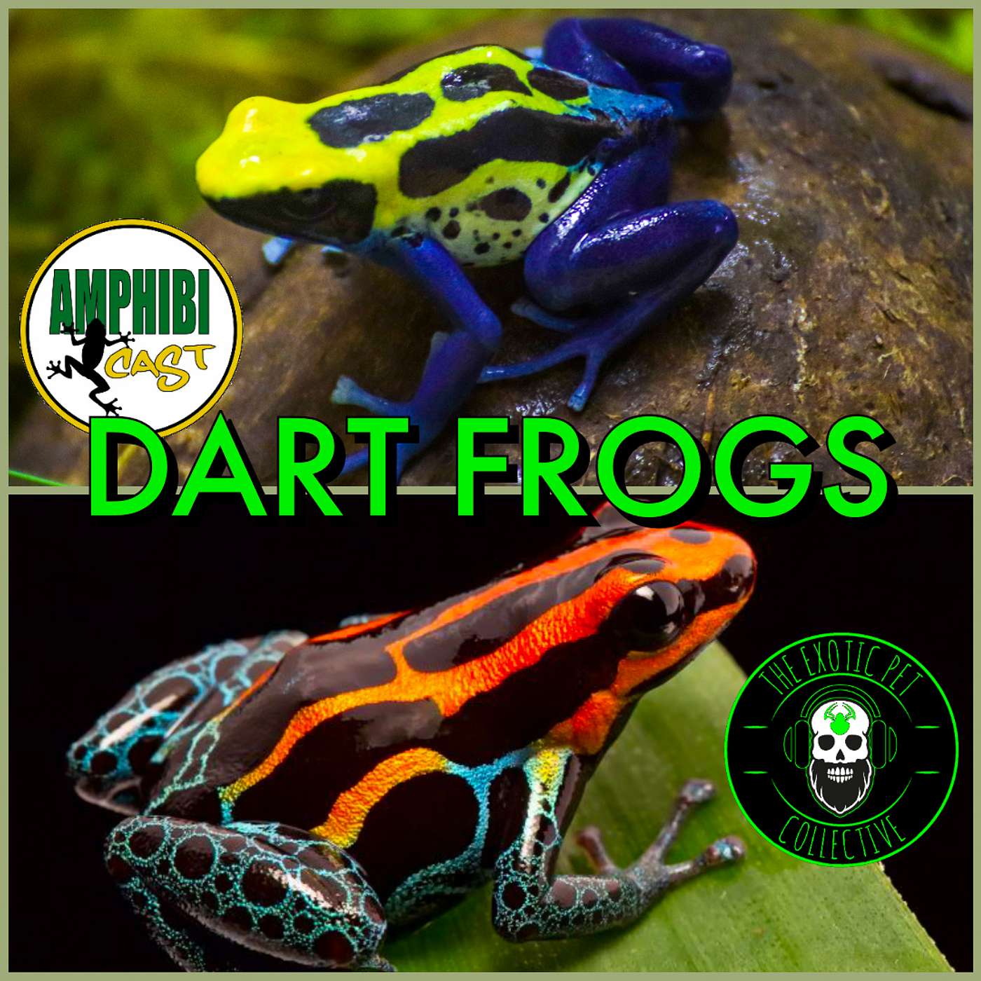 The Exotic Pet Collective