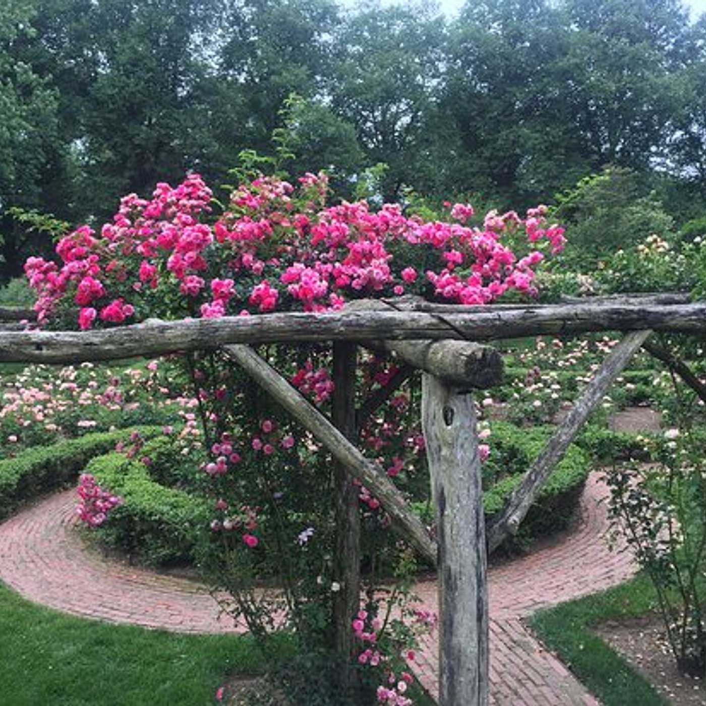 Go Outdoors And Explore The World of Botanical Fragrance With Ken Druse