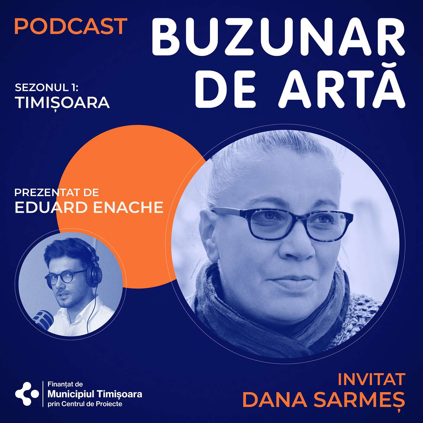 Podcast Buzunar de Artă