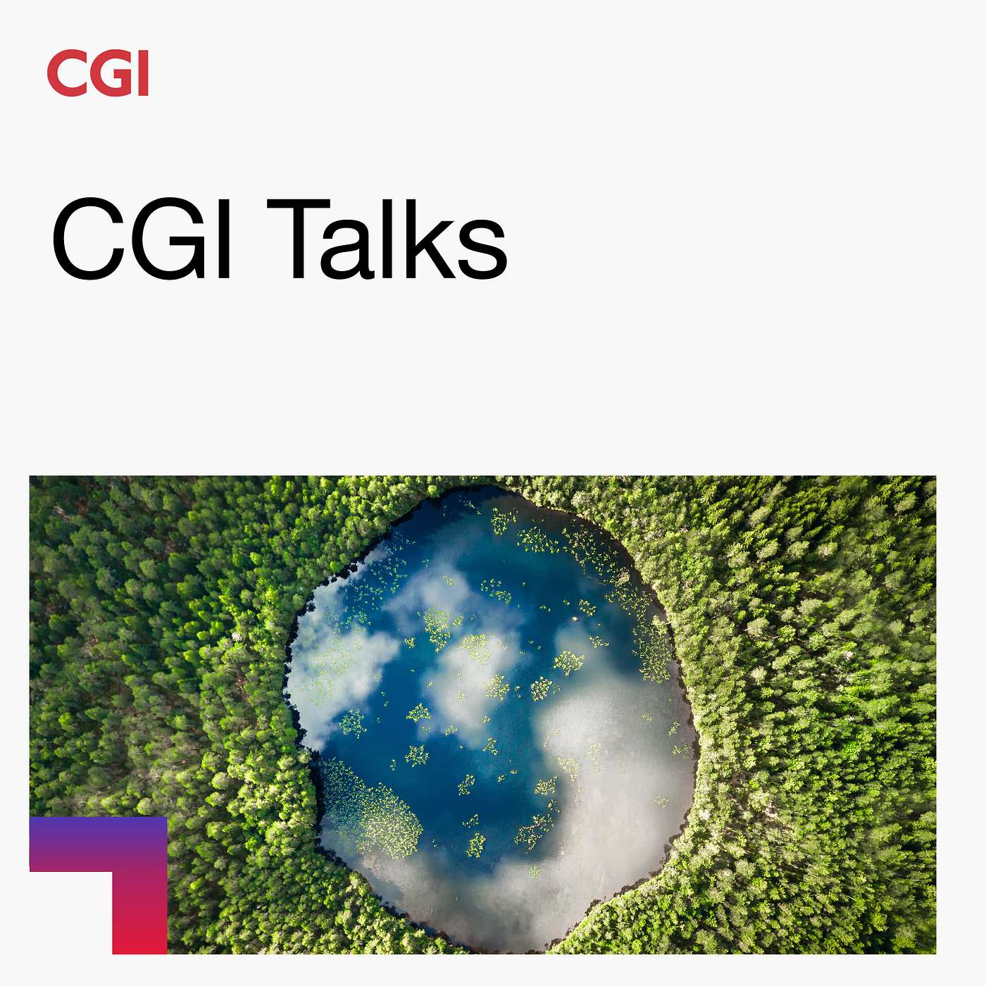 CGI Talks