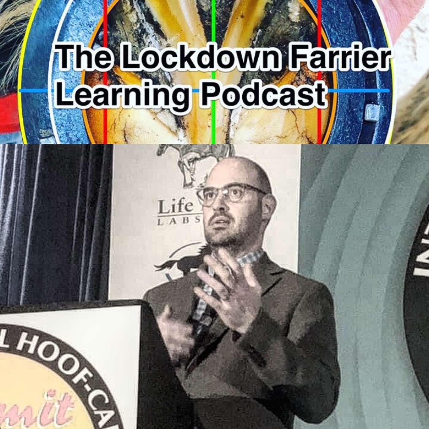 The Lockdown Farriery  Podcast