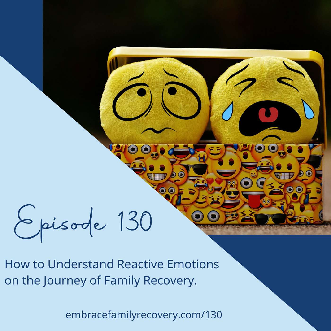 Ep 130 - How to Understand Reactive Emotions on the Journey of Family Recovery.