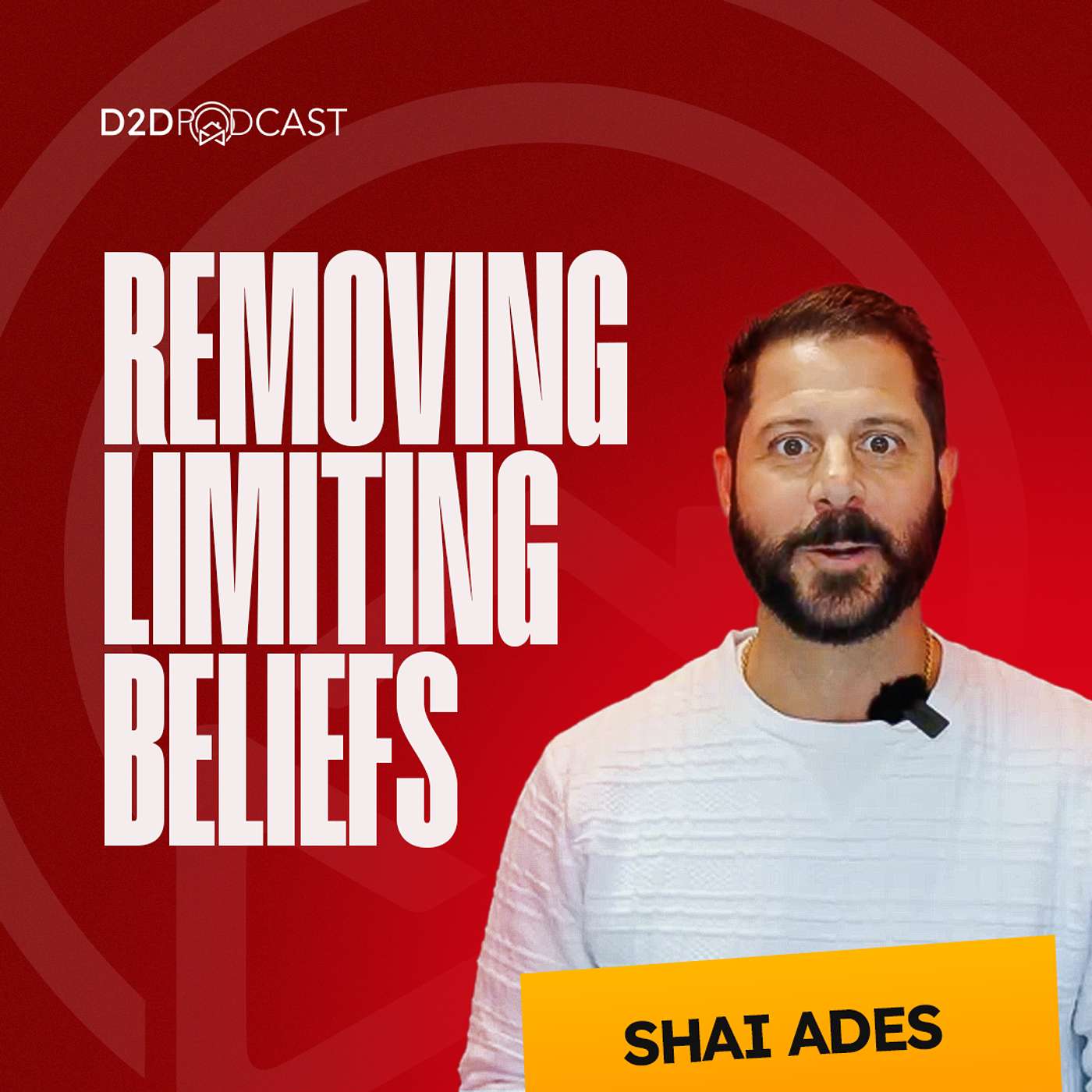 402: Optimize your Roofing and Home Improvement Services Sales w/ Shai Ades' Tips on Training, Motivation, Systems & Mentorship for Door-to-door Sales Business Growth | The D2D Podcast