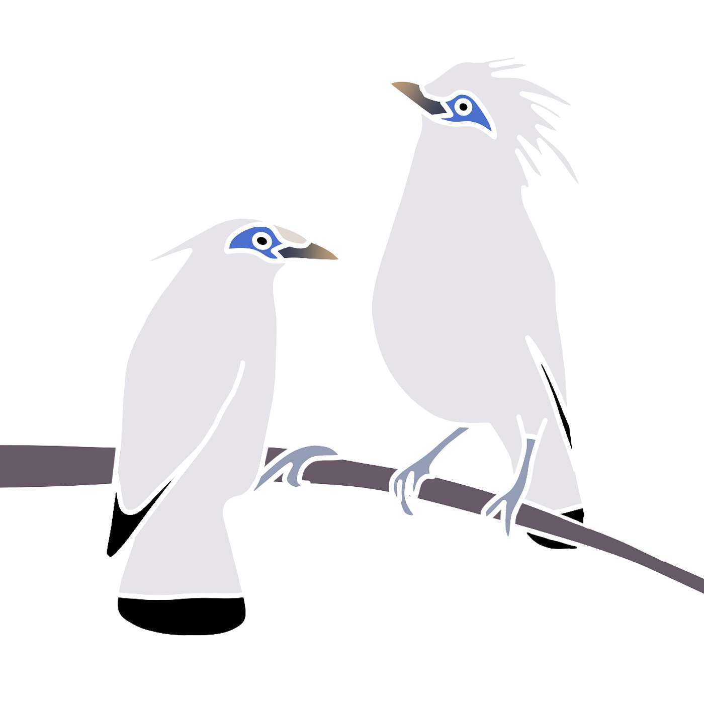 The Bali Myna episode artwork