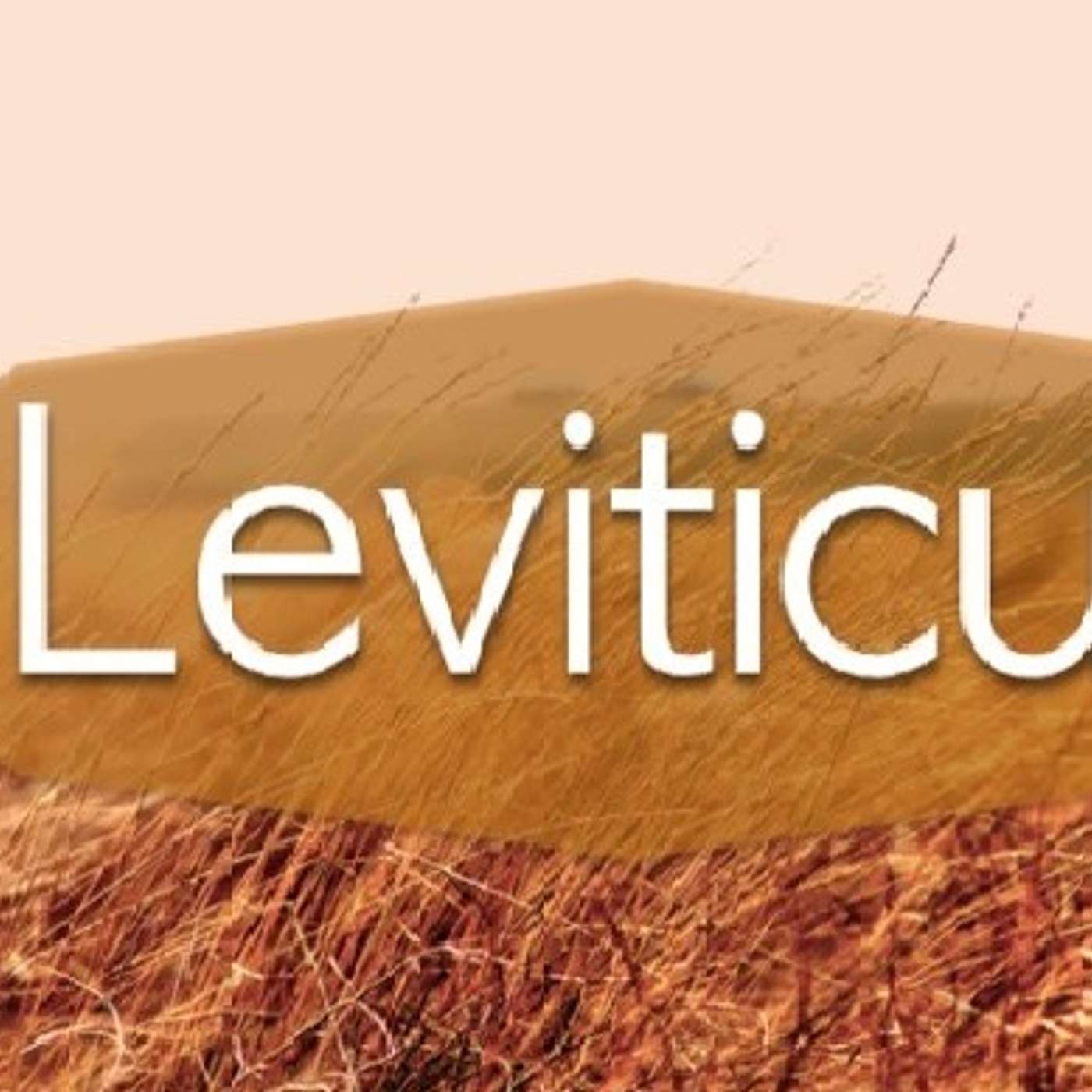 What We Should Do After Recovering From Illness. (Leviticus 14:1-54)