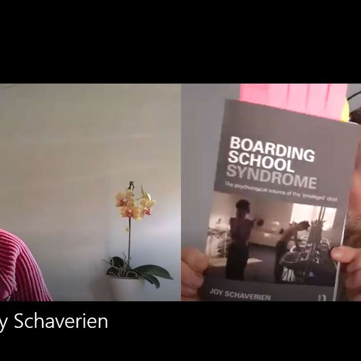 #10   Joy Schaverien - What is Boarding School Syndrome & What Does Recovery Look Like? episode artwork