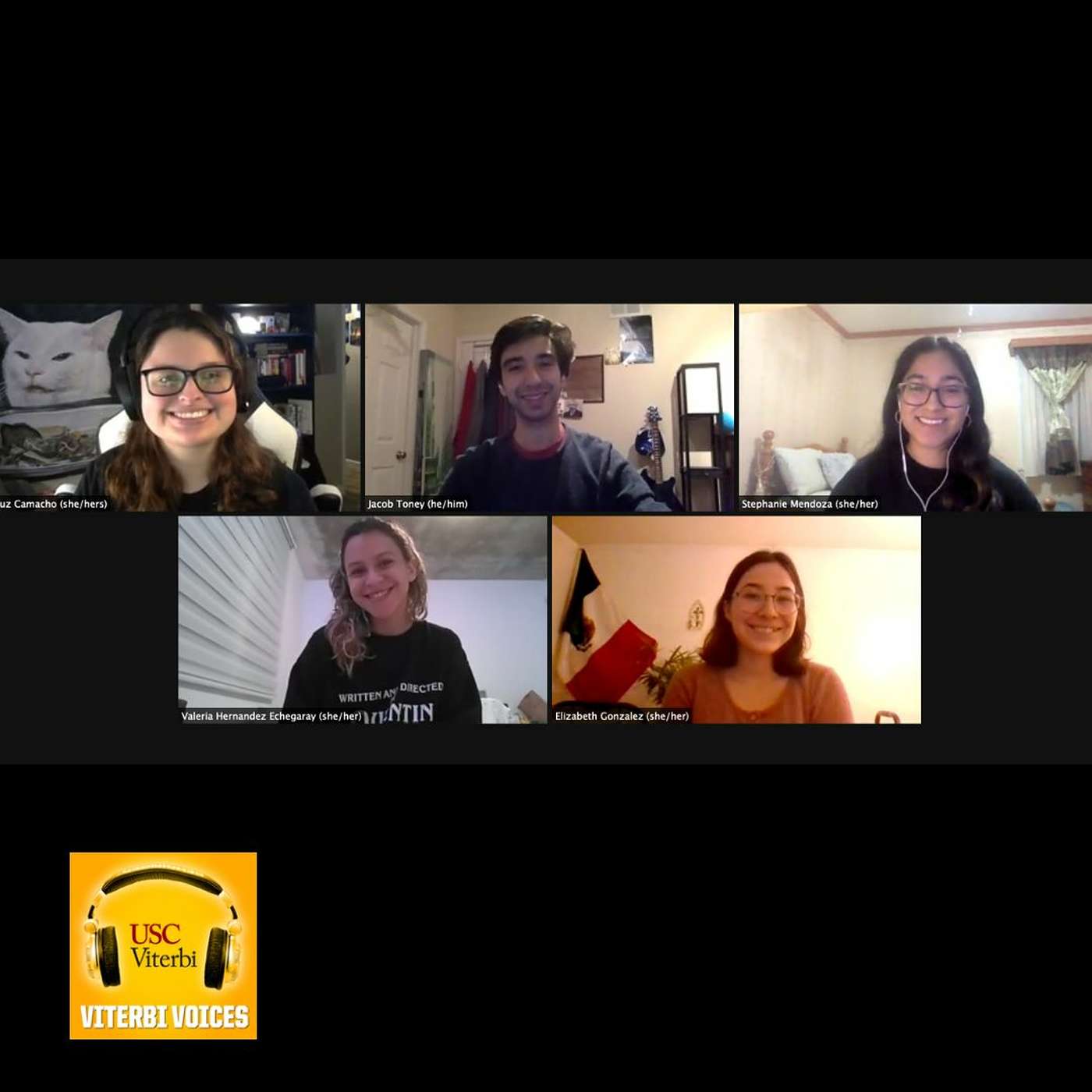 Viterbi Voices: The Podcast