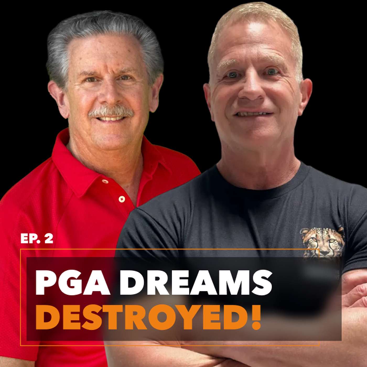 Run with the Cheetahs - Your Climb To An Extraordinary Life