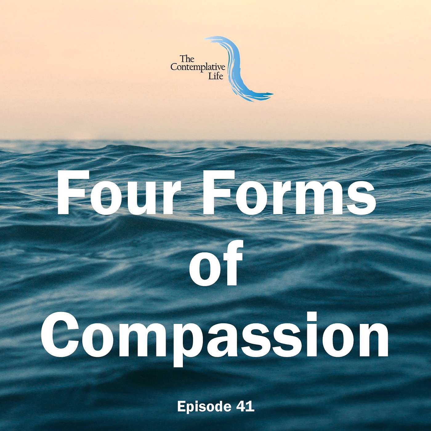 Ep 41 Four Forms of Compassion