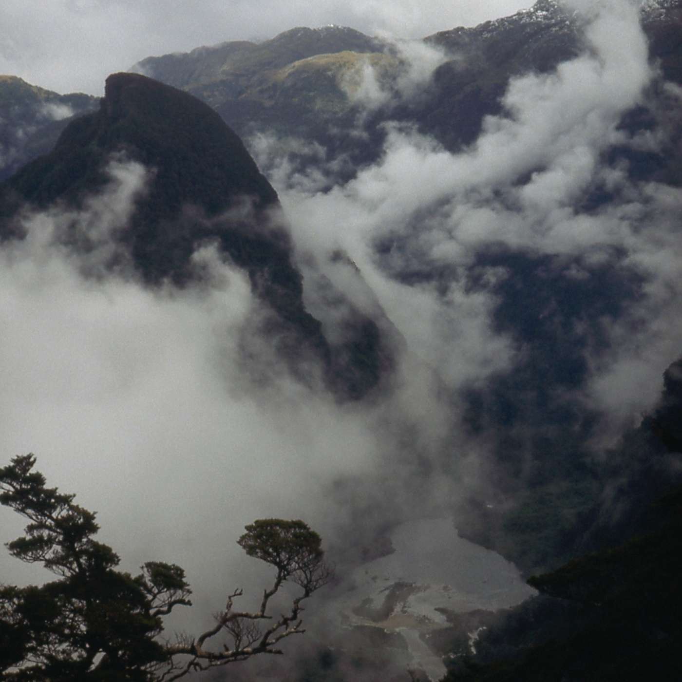 New Zealand -The Dusky Track New Zealand -The Dusky Track