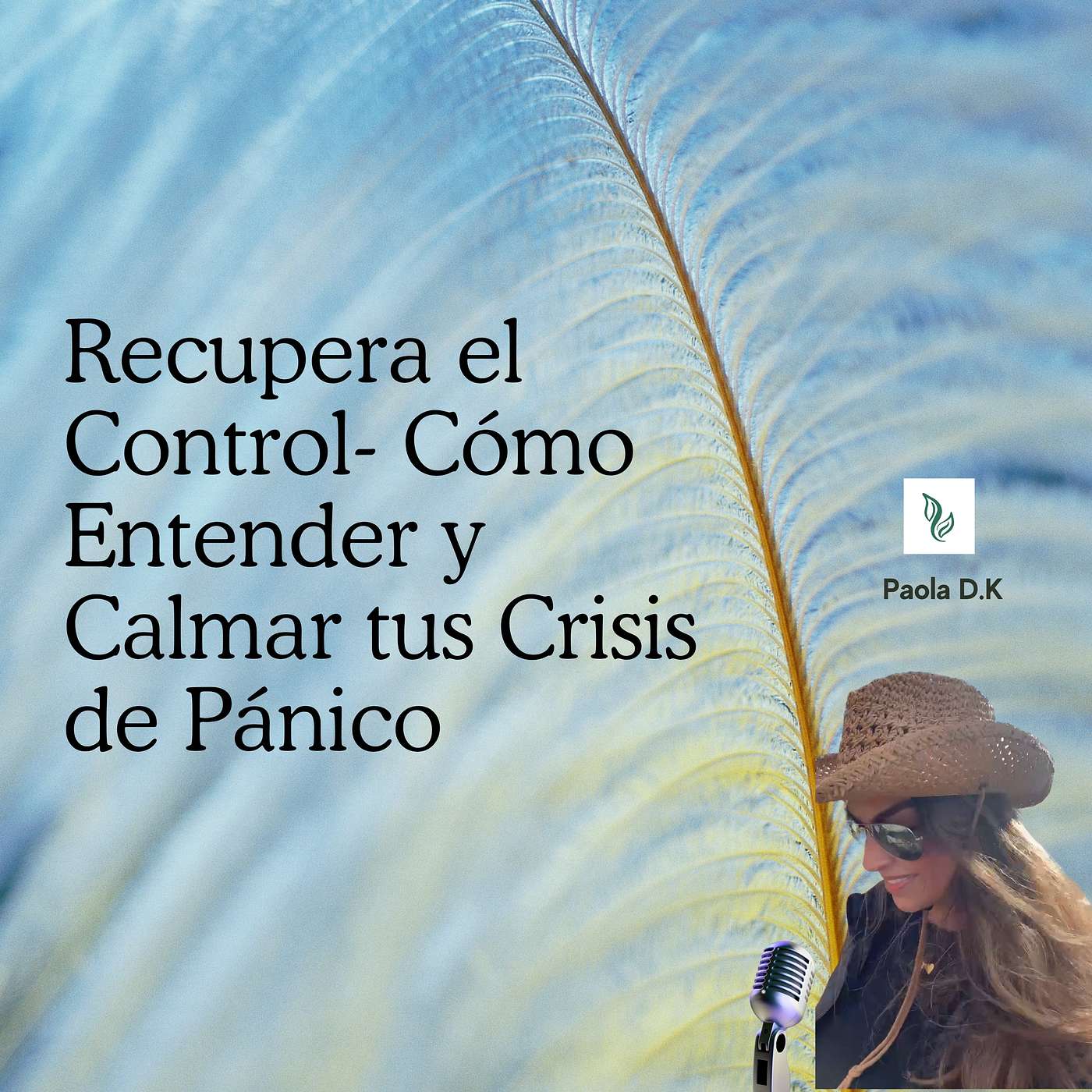 E.1 Recupera el Control- Cómo Entender y Calmar tus Crisis de Pánico episode artwork