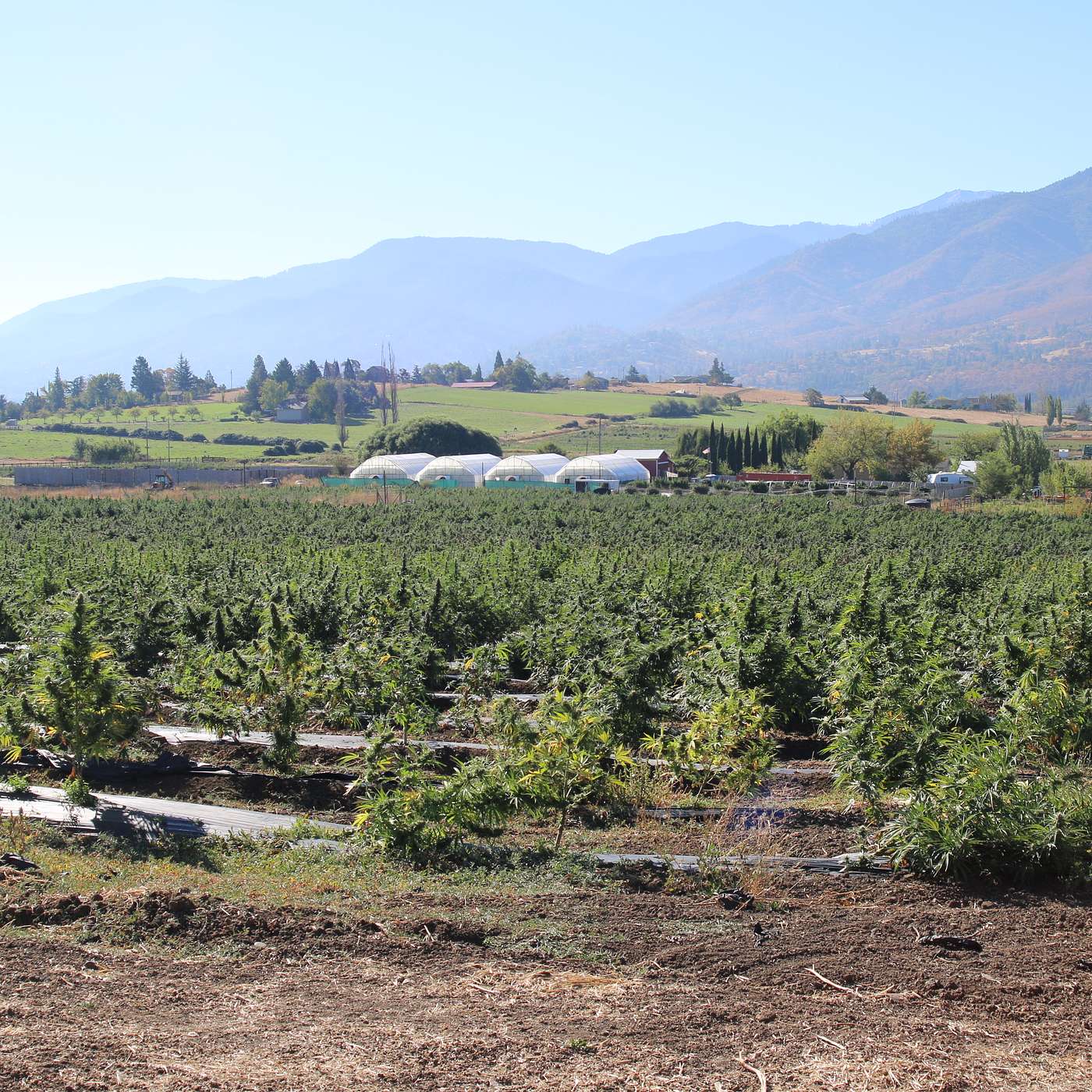 PFAS. not good for us or our environment