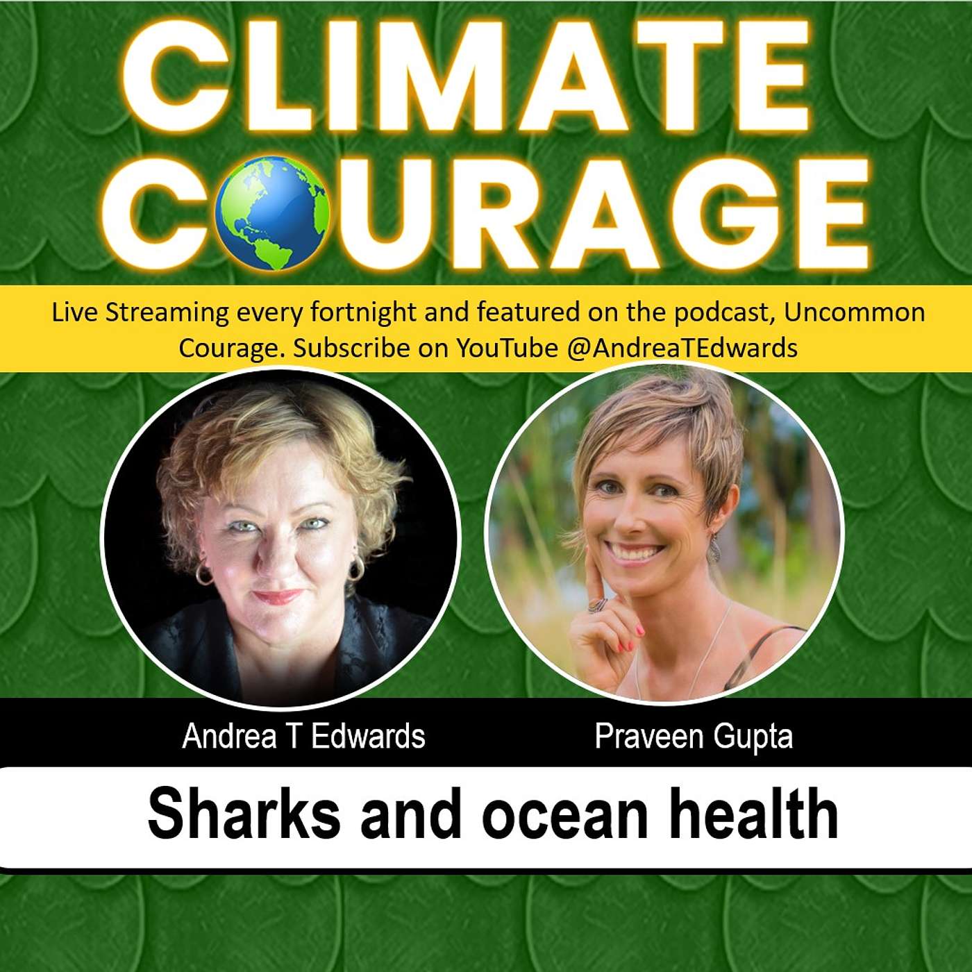 Climate Courage: sharks and ocean health episode artwork