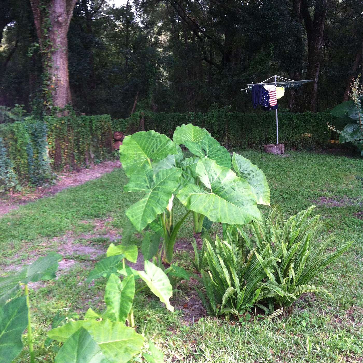 Coffee with a Twist! 