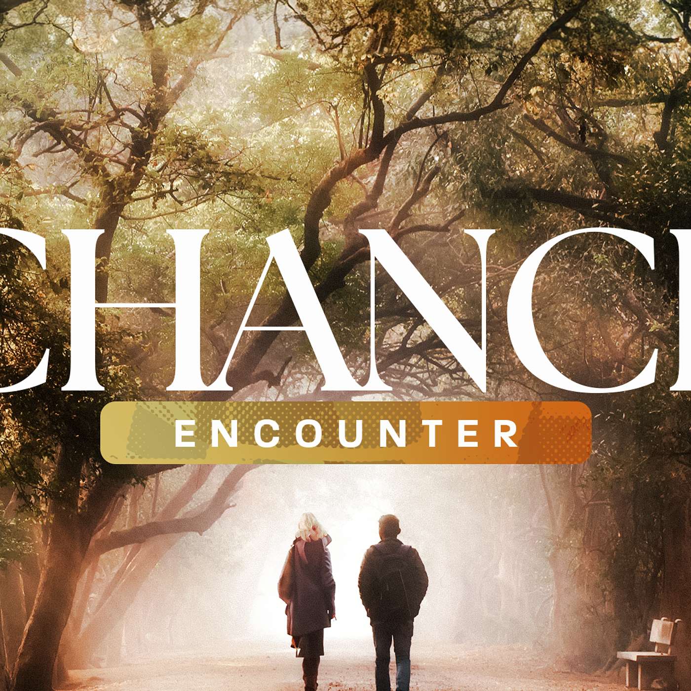 Chance Encounter