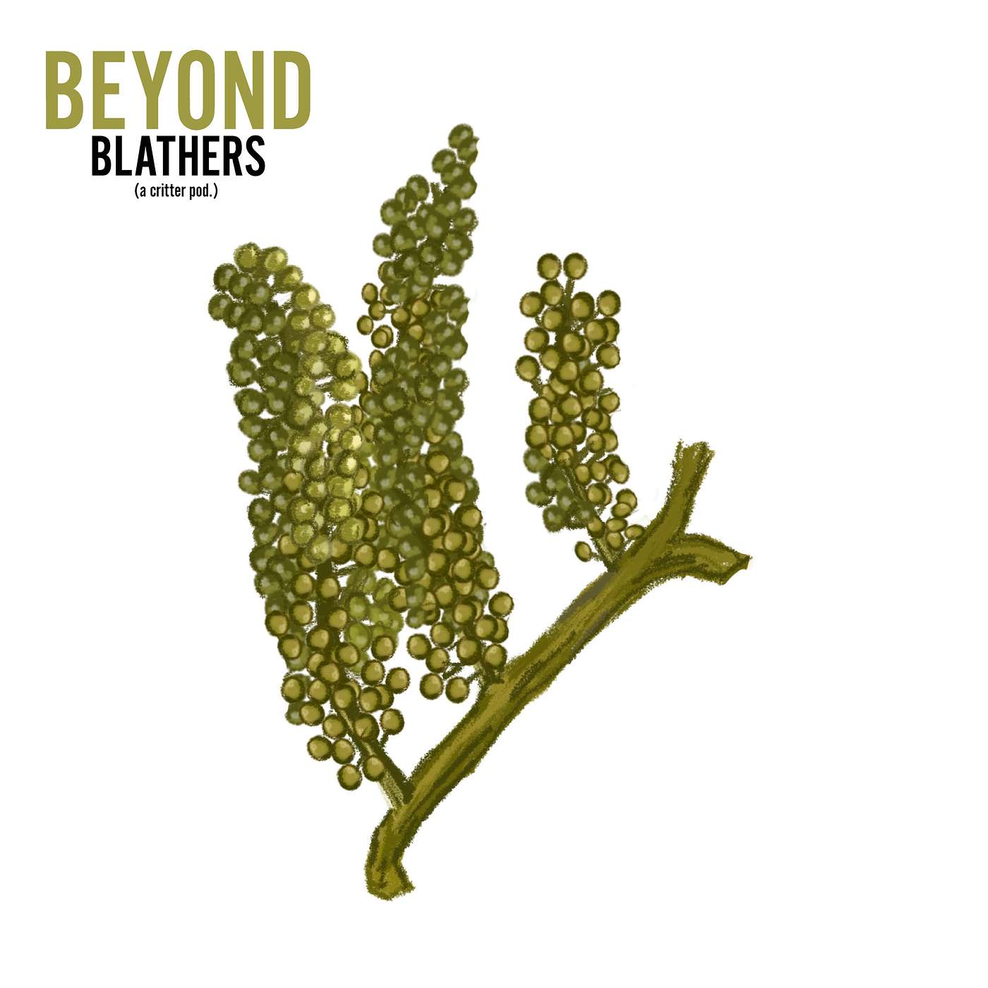 Beyond Blathers