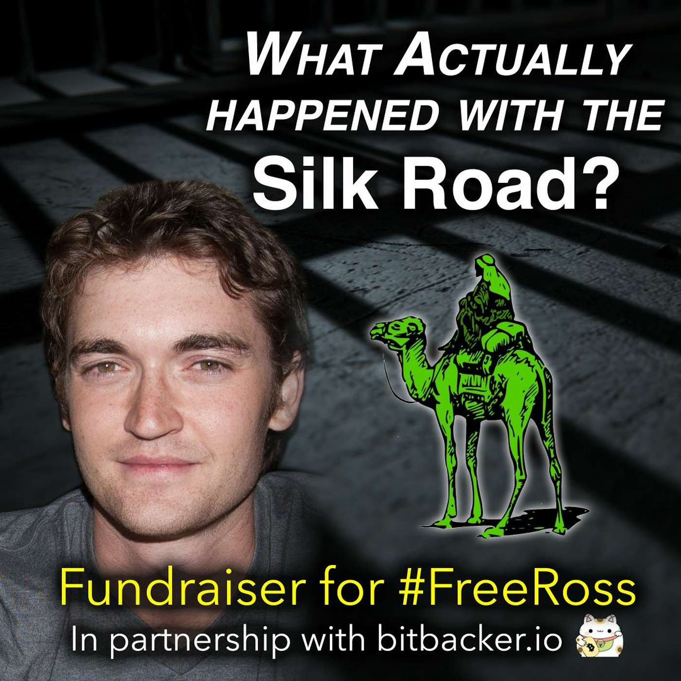 What really happened in the Silk Road Trial? Fundraiser for Ross Ulbricht episode artwork