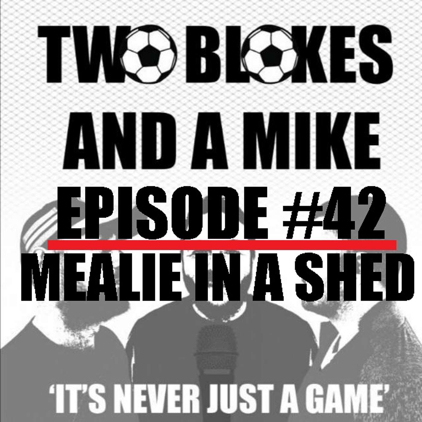 #42 Mealie in a shed