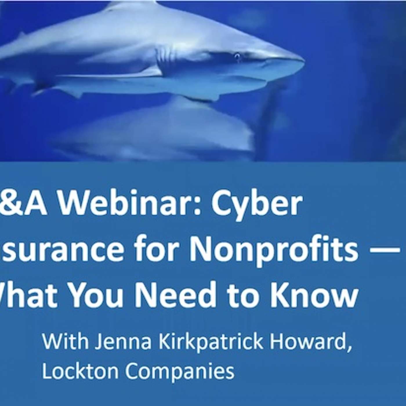 Cyber Insurance for Nonprofits pt 2