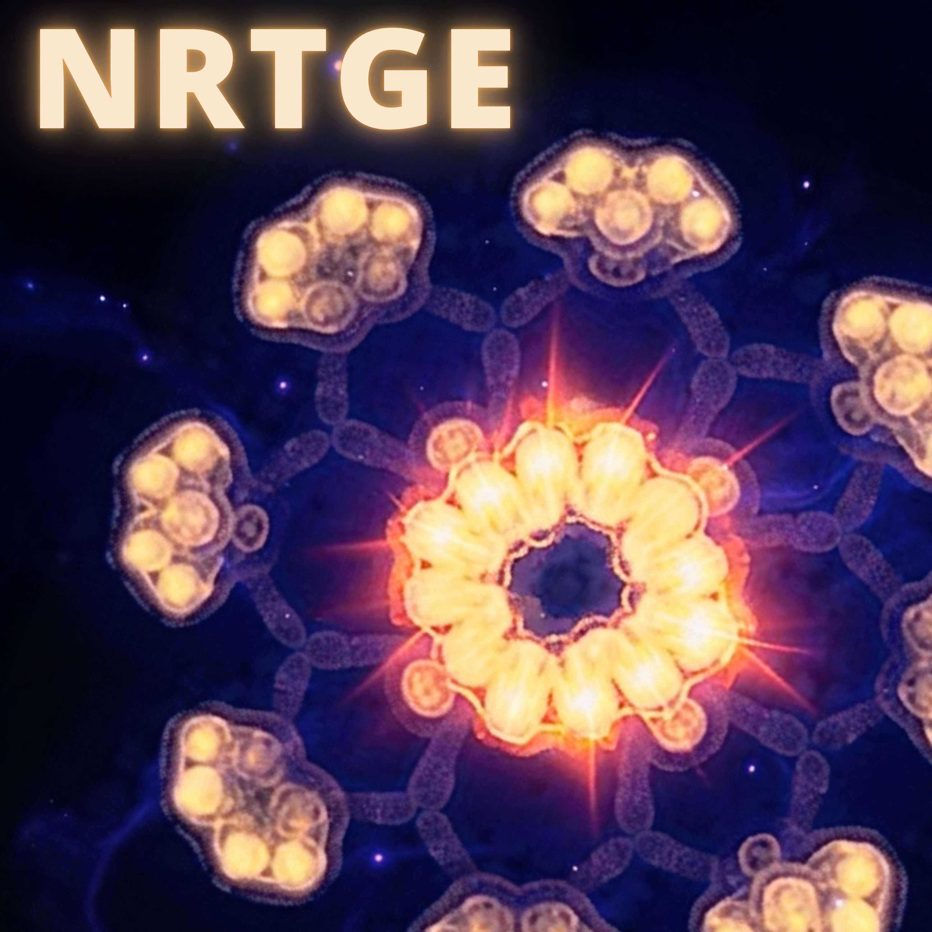 NRTGE | No Reason to Get Excited