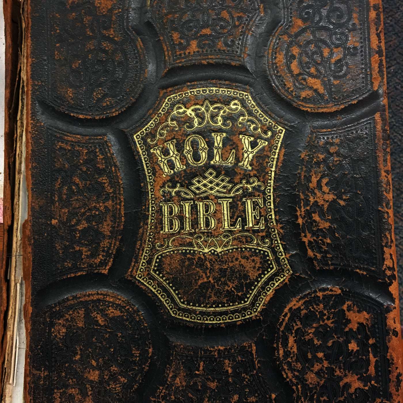 Season 3 Podcast 49 Spiritual Law episode artwork