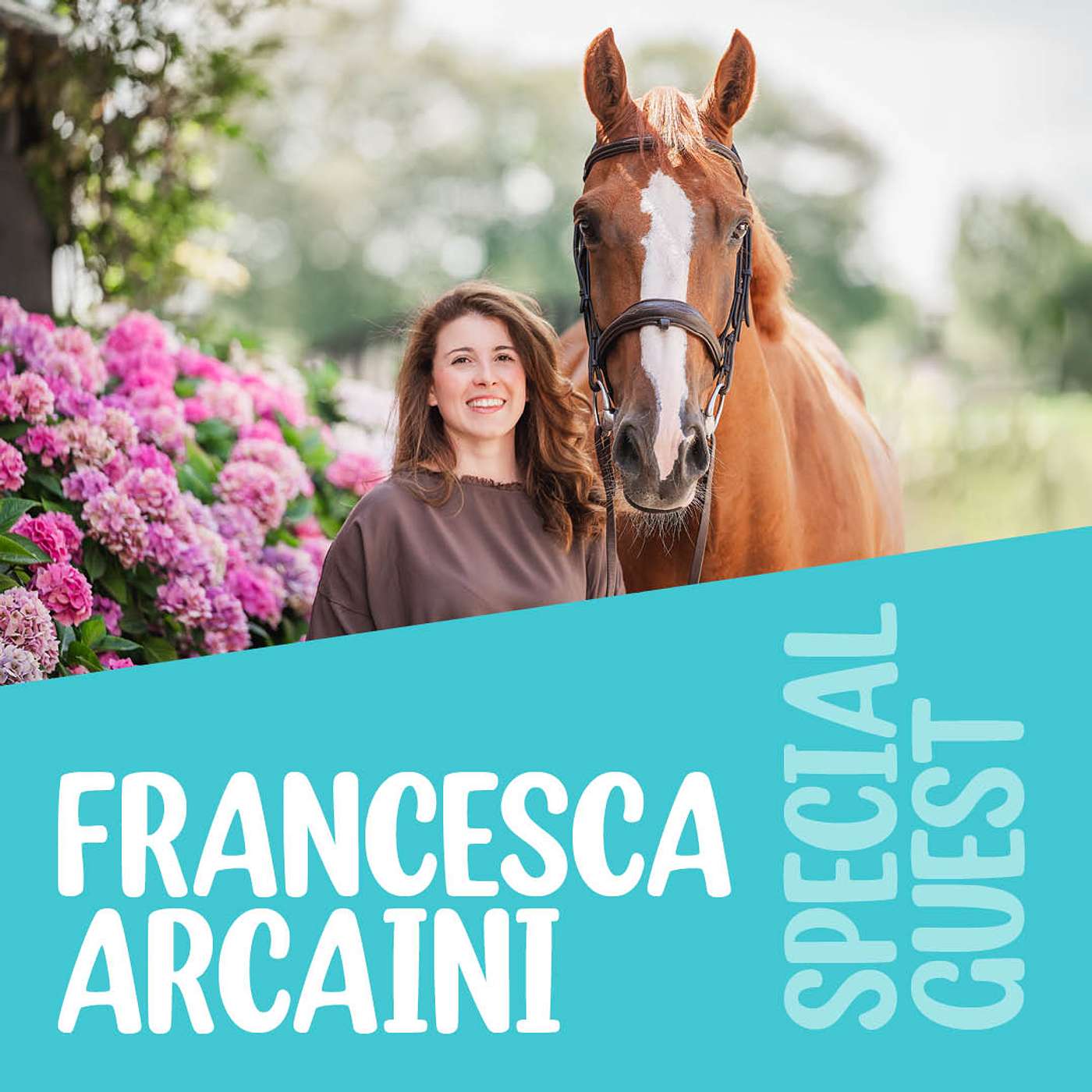 The Equestrian Experience