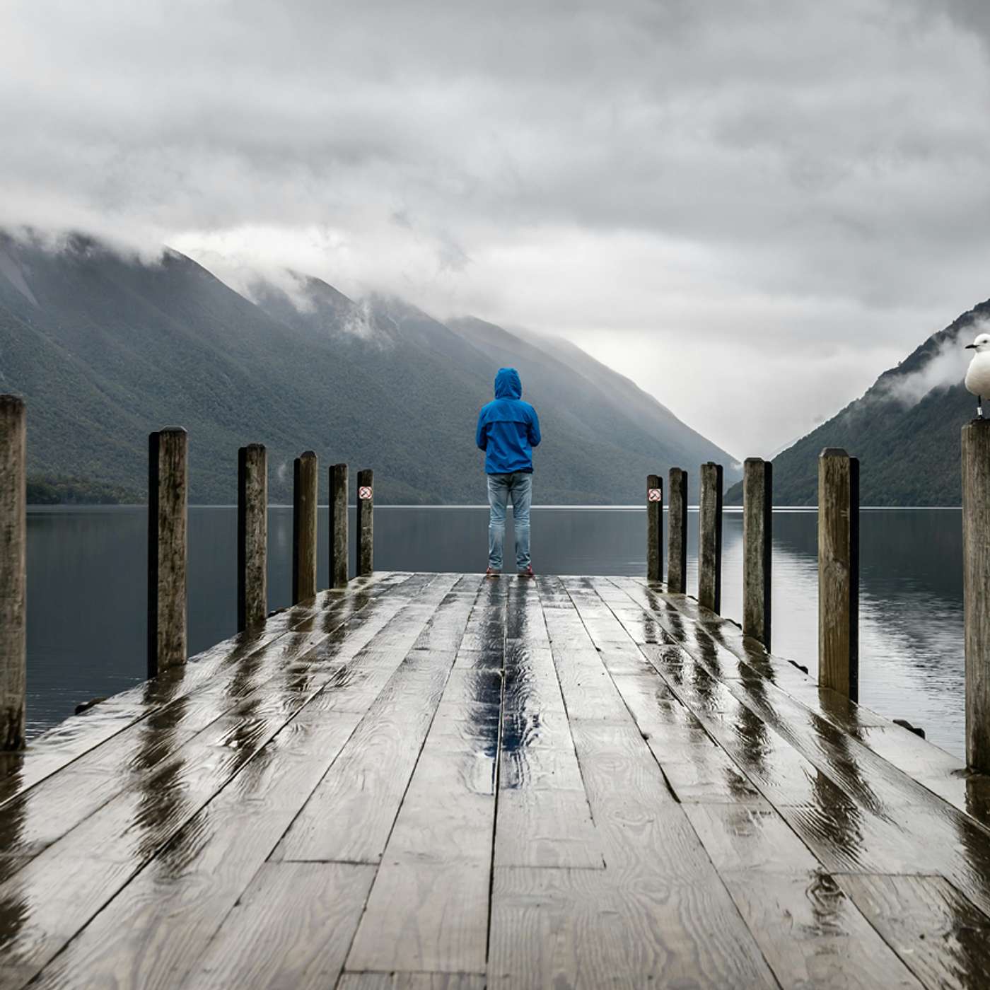 What Cures Can You Offer Those Trapped in the Loneliness and Isolation Epidemic? episode artwork