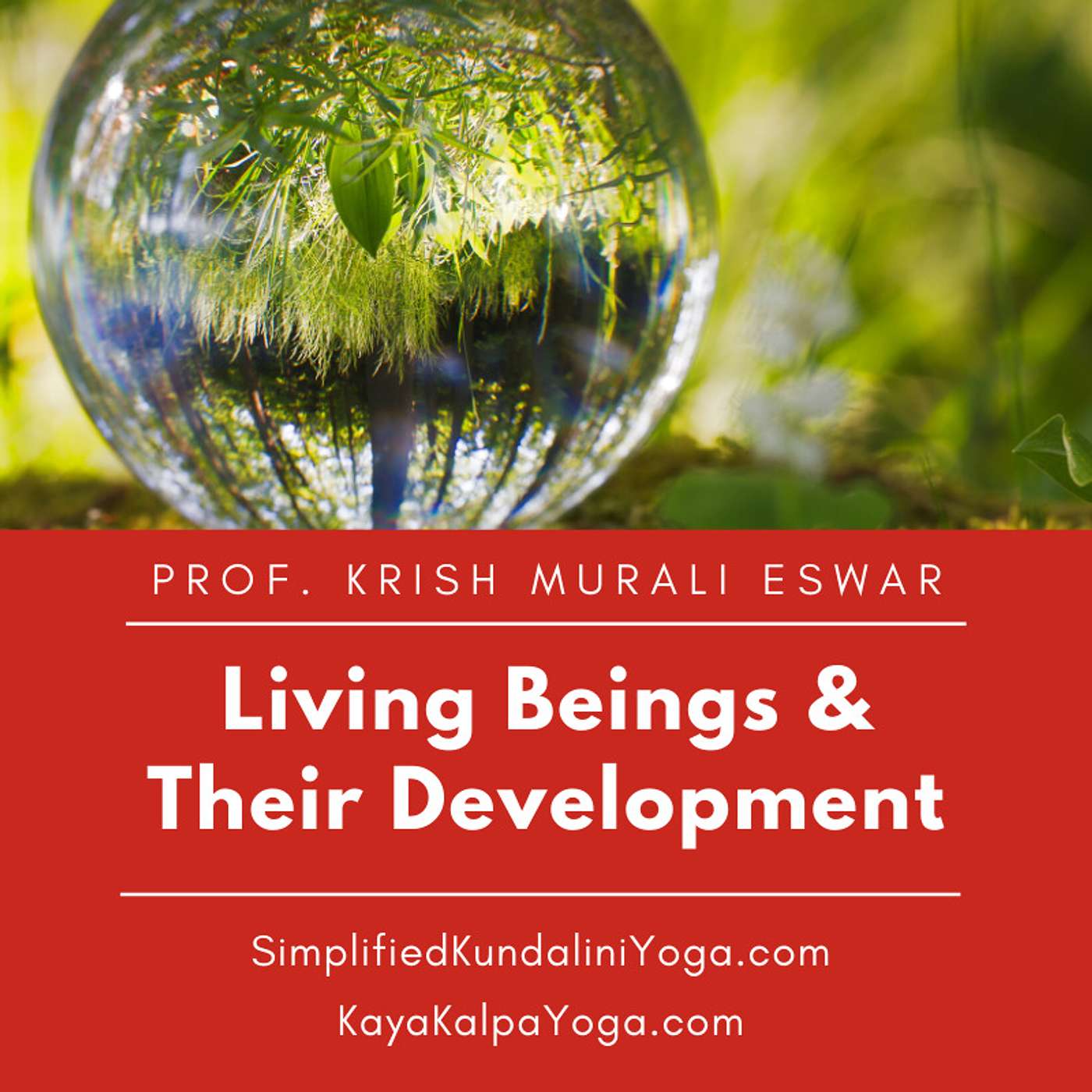 Krish Murali Eswar\'s Heaven Inside