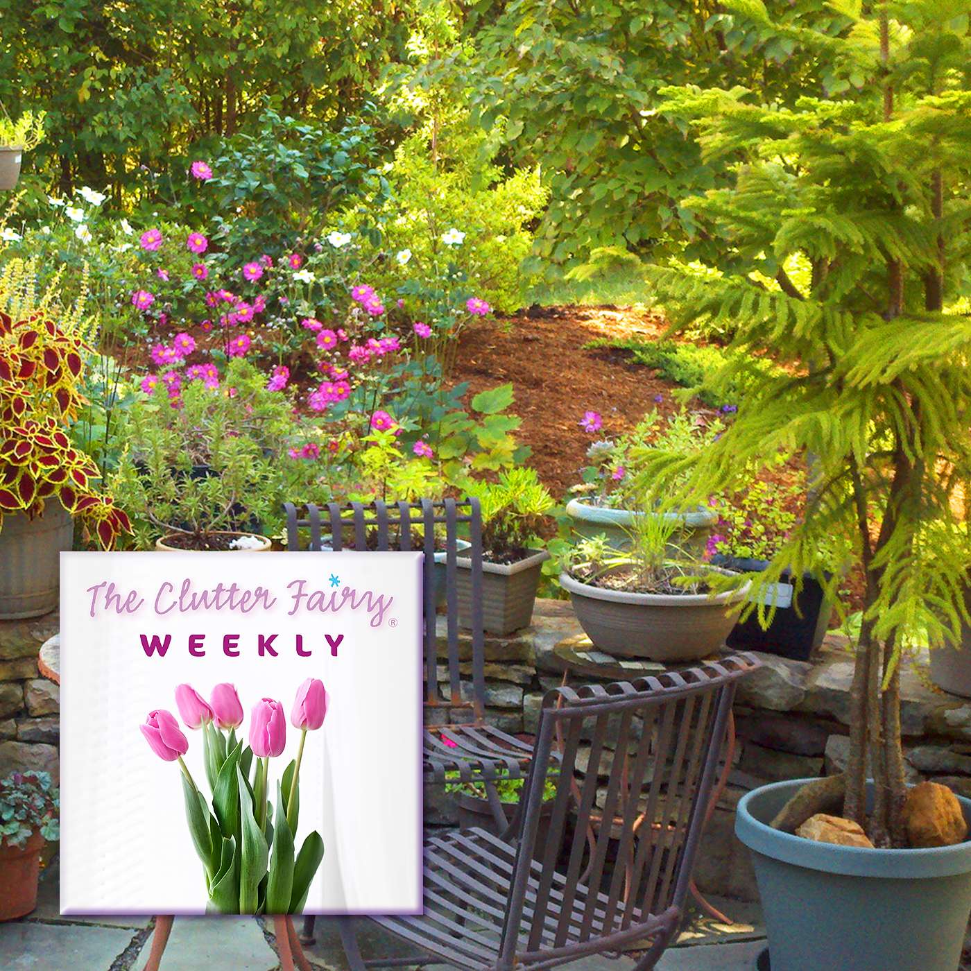 The Clutter Fairy Weekly #41 - Clear Your Clutter, Love Your Life: Organize for Positive Change