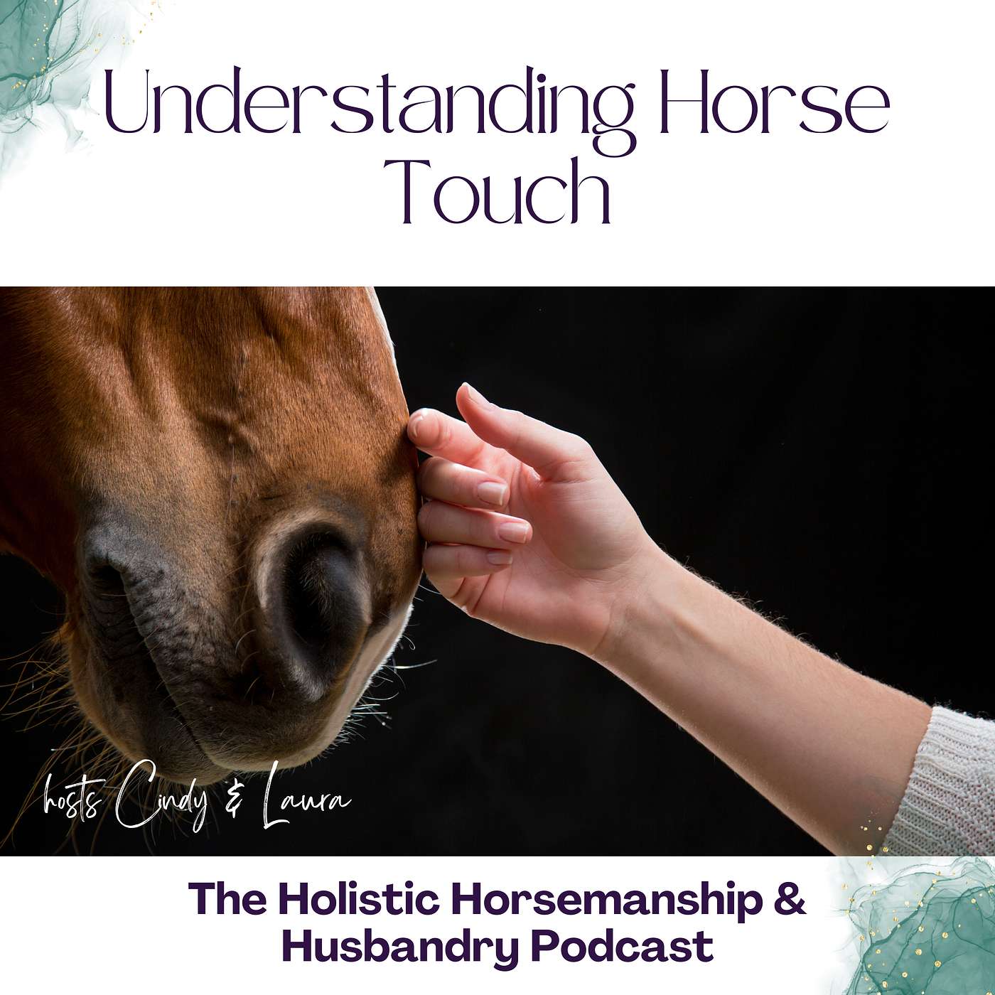 The Holistic Horsemanship and Husbandry Podcast