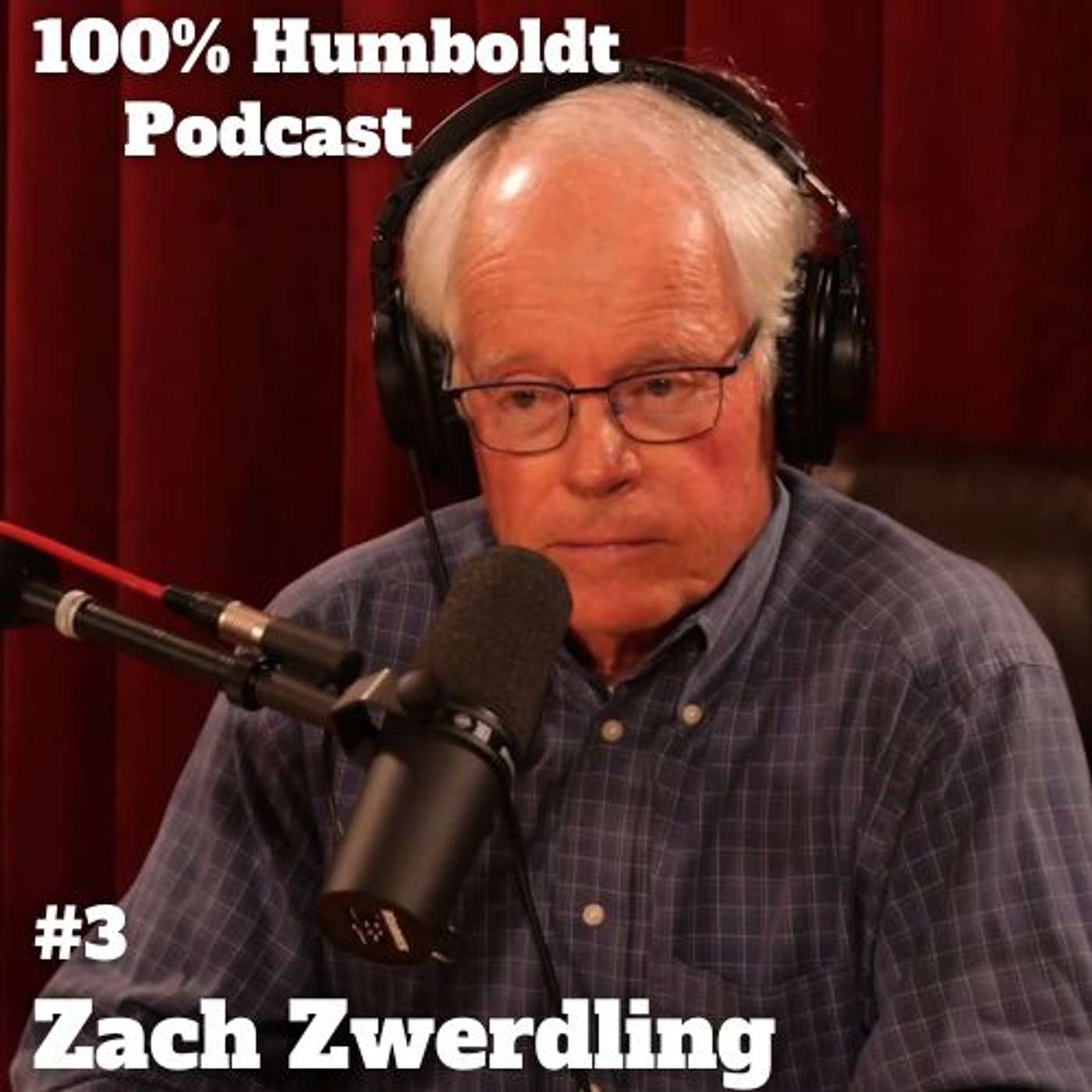 #3.  Zach Zwerdling's Harmonious Life: Balancing Law, Music, and Community Impact episode artwork