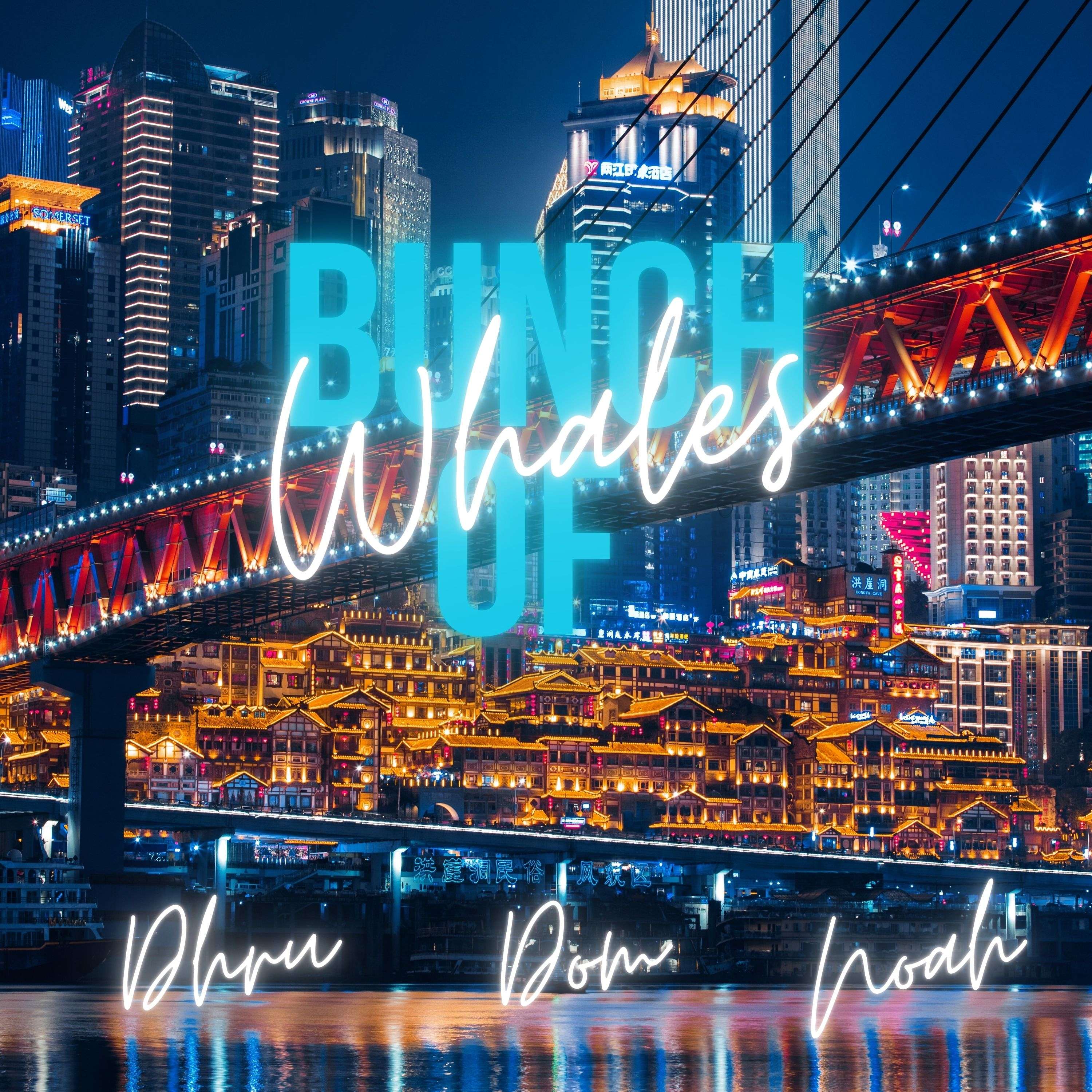 Bunch of Whales cover art