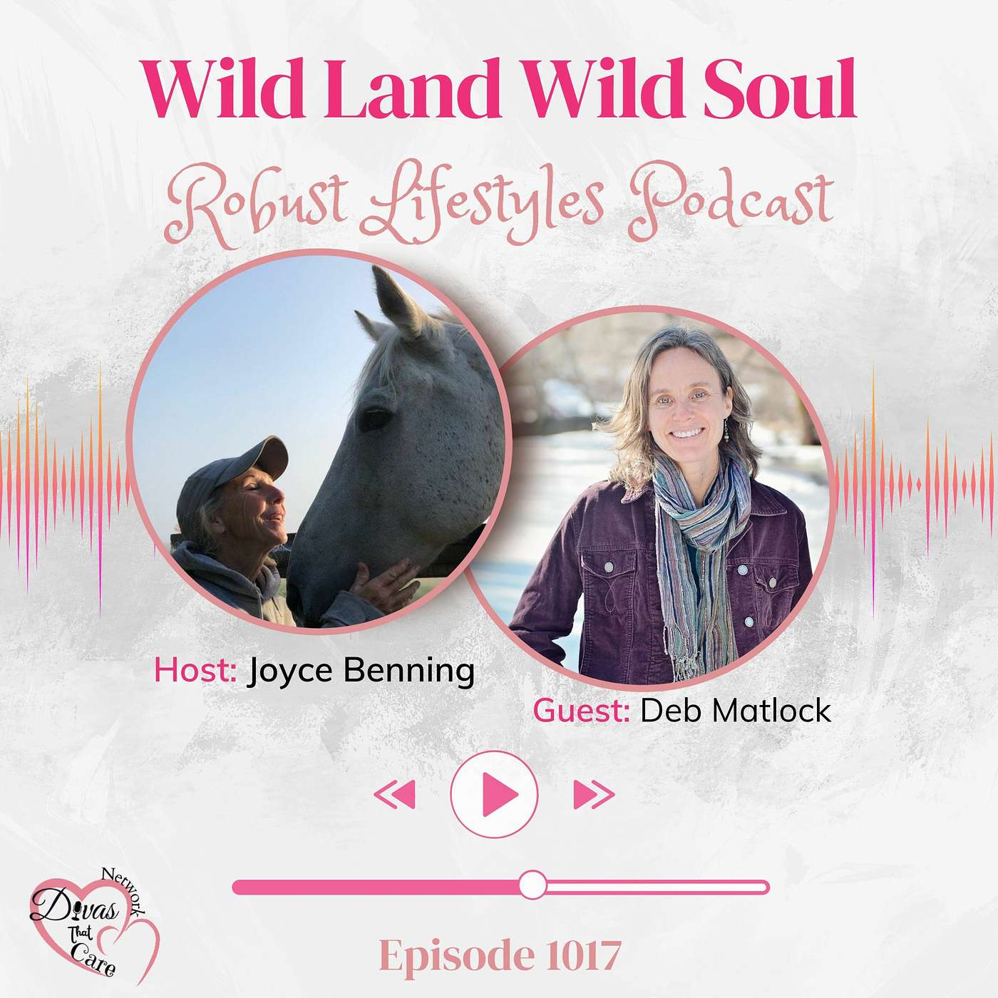 Wild Land Wild Soul episode artwork