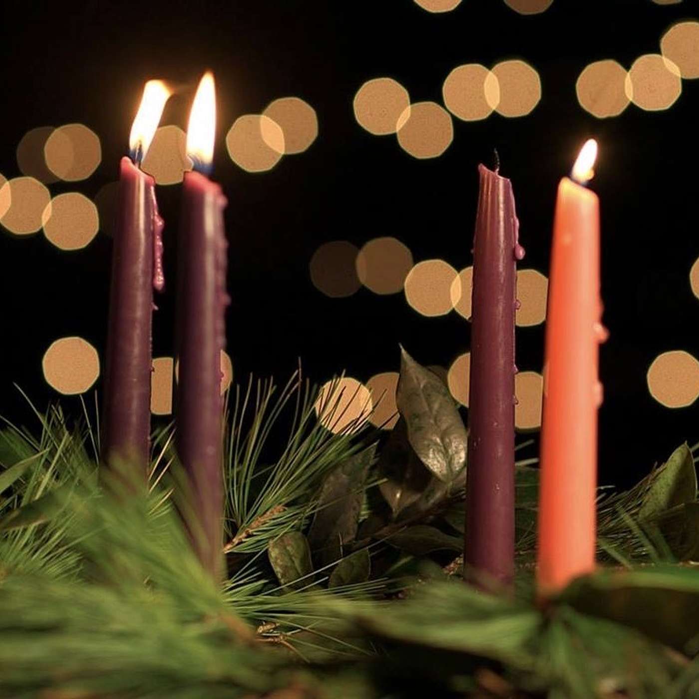 Homily for the 3rd Sunday of Advent, B
