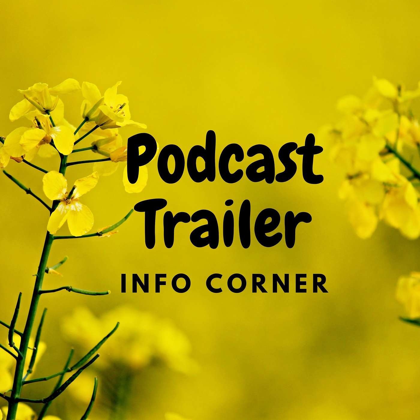 Podcast Trailer episode artwork
