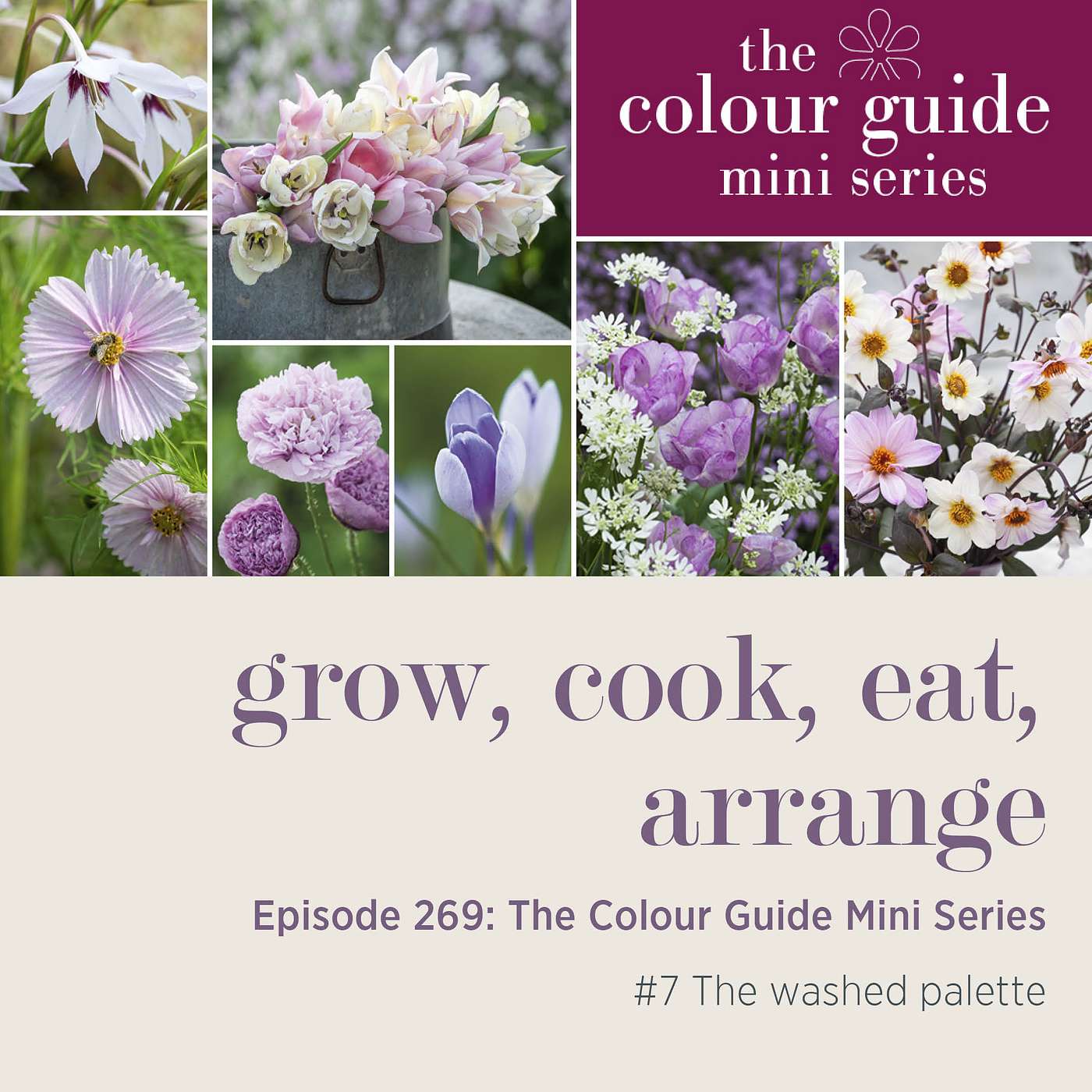 The Colour Guide Mini Series #7: The washed palette - Episode 269