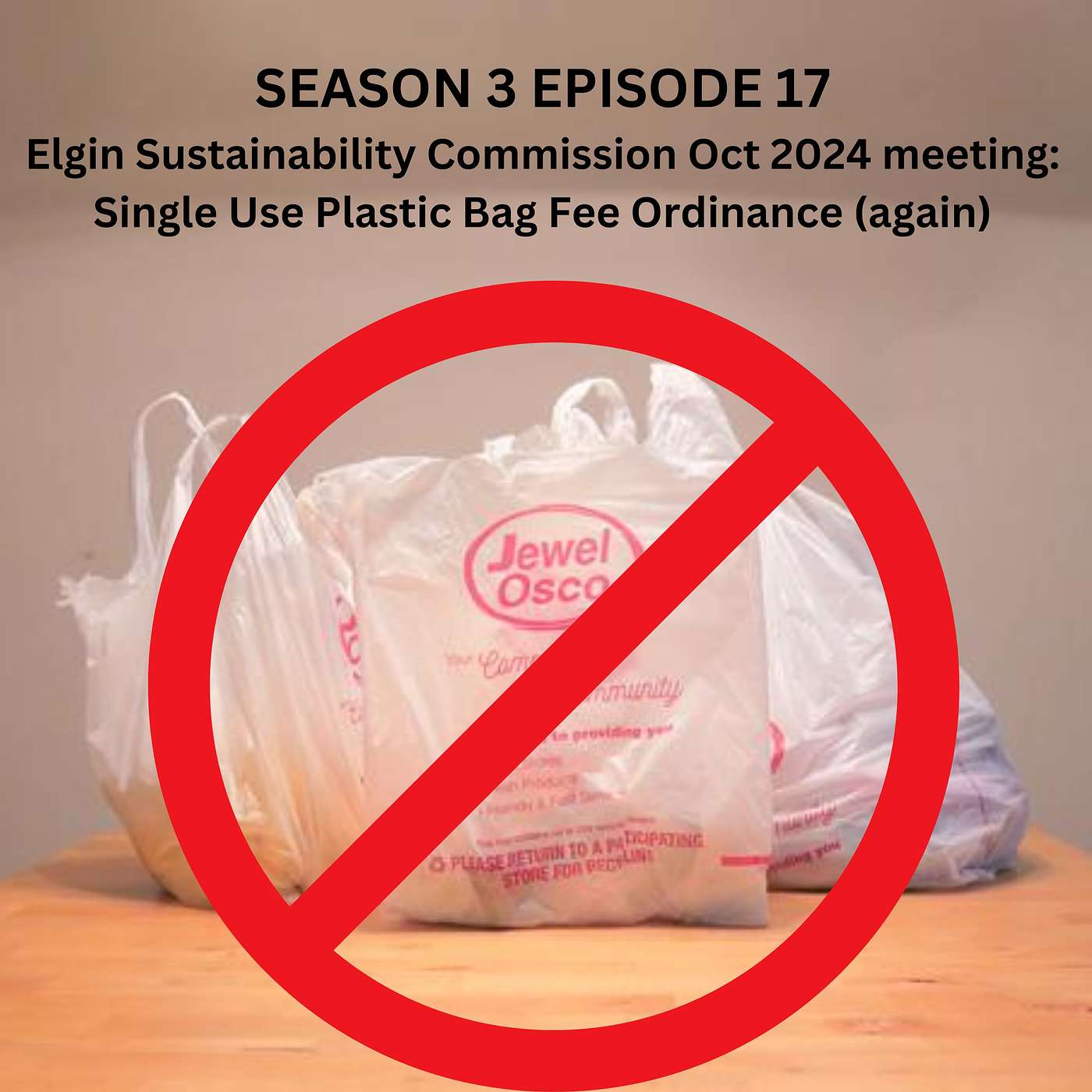 Elgin Sustainability Commission October 2024 Meeting: Single Use Plastic Bag Fee Ordinance (again) Elgin Sustainability Commission October 2024 Meeting: Single Use Plastic Bag Fee Ordinance (again)