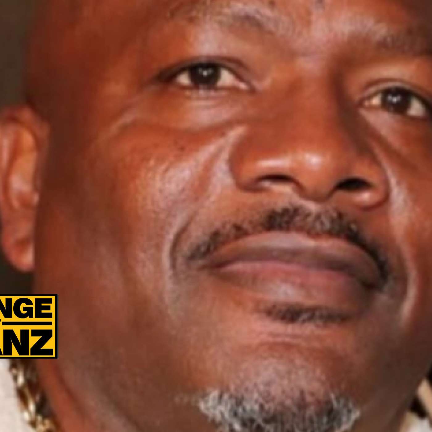 Big U Arrest, The Politics of Community: Understanding Today's America