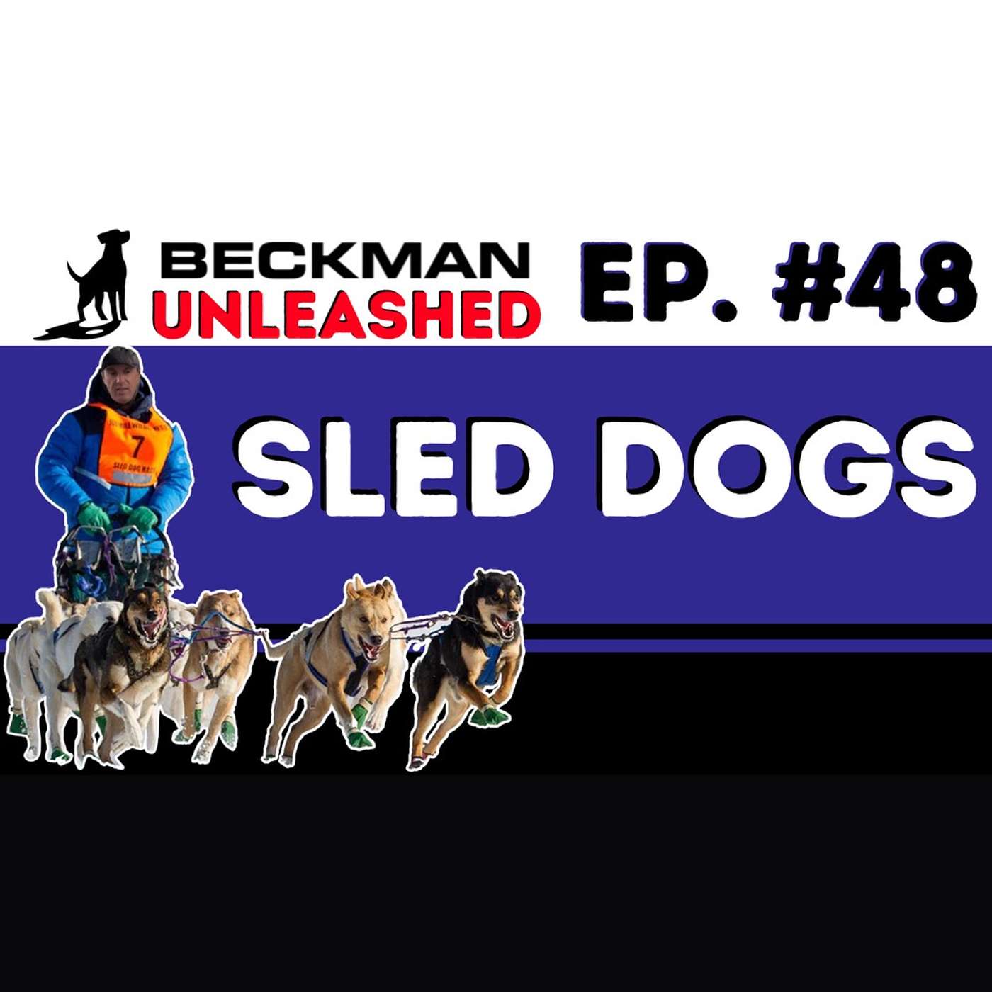 Ep. 48 - Why Good Dog Training is Ugly, Huskies - Breed of the Week & am I using "Desensitization" wrong?